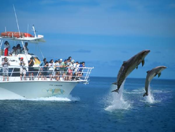 船着き場到着、ボートで離島へ