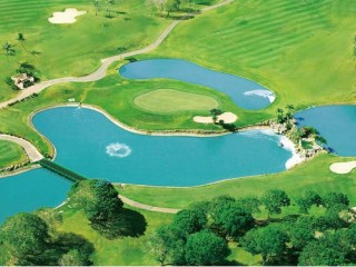 オンワード　タロフォフォゴルフクラブ